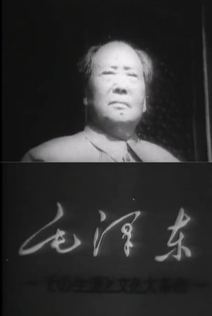 Mao Tse-Tung and the Cultural Revolution poster