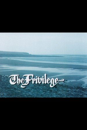 The Privilege poster