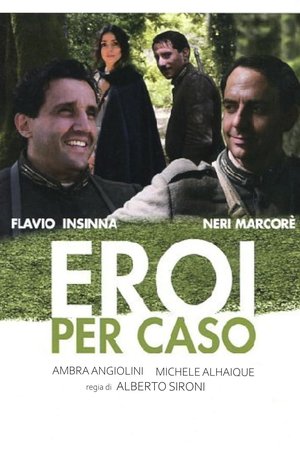 Eroi per caso poster