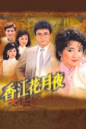 Summer Kisses Winter Tears poster