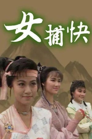 Ladies of the Law poster