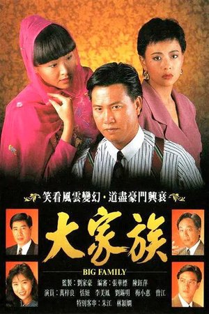 Big Family poster