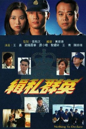 Nothing to Declare poster