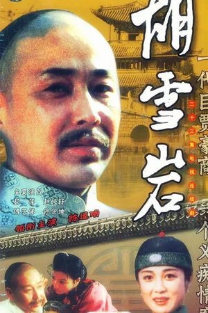 胡雪岩 poster