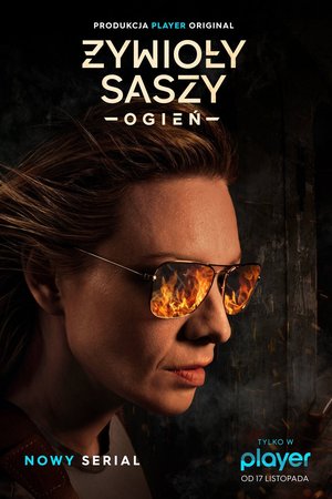 The Elements of Sasza poster