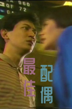 最佳配偶 poster