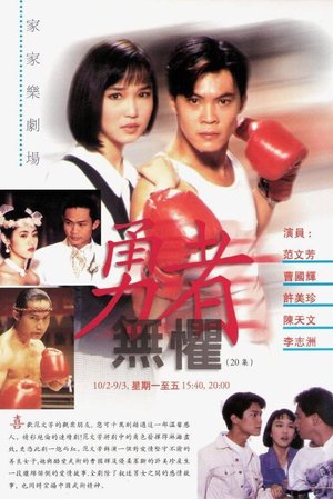 勇者无惧 poster