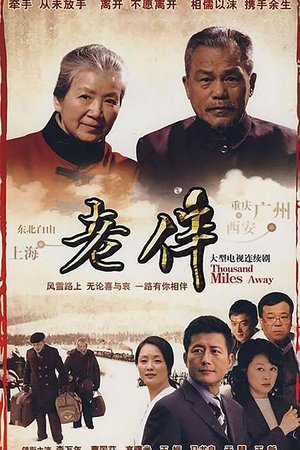 Life Companion poster