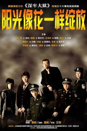 阳光像花一样绽放 poster