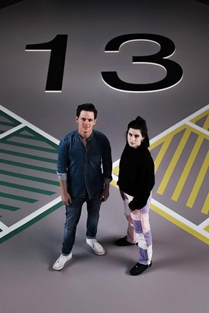 13 Fragen poster