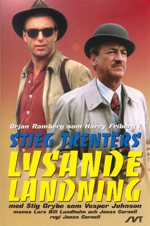 Lysande landning poster
