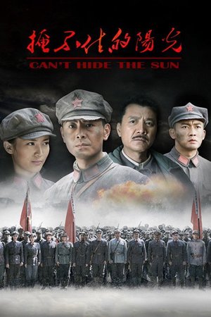 Can't Hide the Sun poster