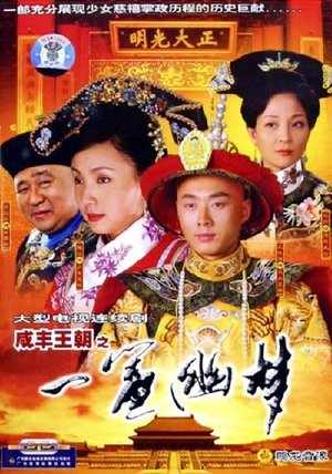 咸丰王朝之一帘幽梦 poster