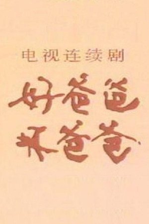 好爸爸·坏爸爸 poster