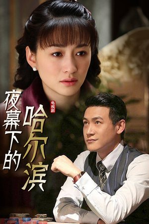 夜幕下的哈尔滨 poster