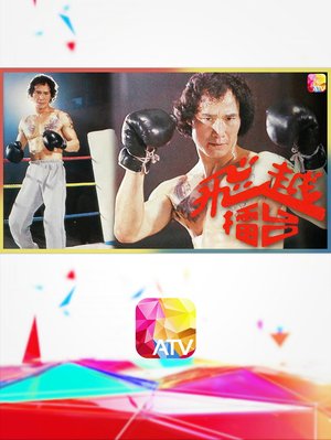 The Boxer poster