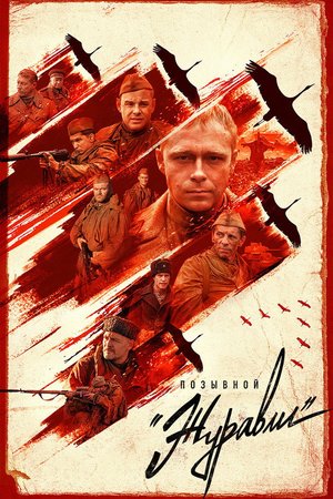 Call Sign «Cranes» poster