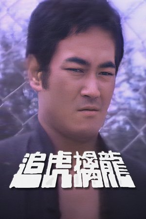 Dragon Chasers poster