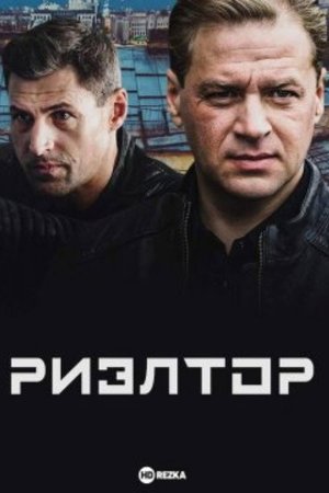 Realtor poster