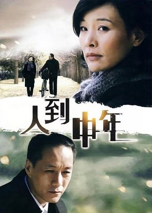 人到中年 poster