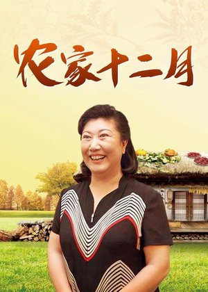 农家十二月 poster