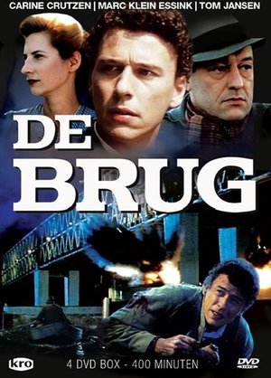 Brug, De poster