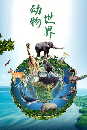 动物世界(赵忠祥) poster