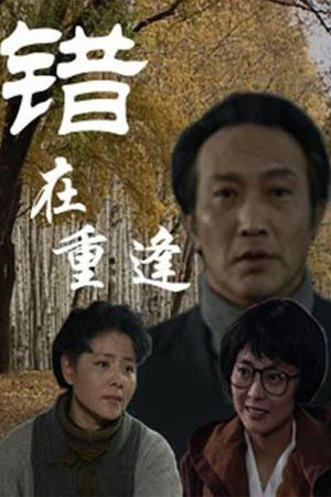 错在重逢 poster