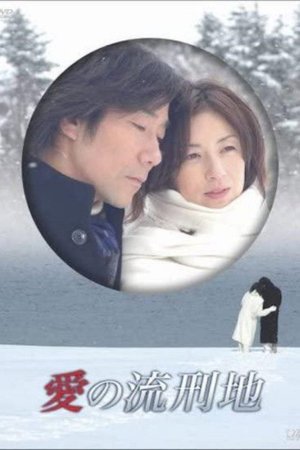 愛の流刑地 poster