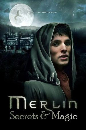 Merlin: Secrets and Magic poster
