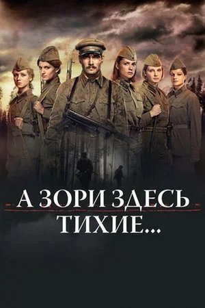 А зори здесь тихие... poster