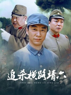 追杀横路靖六 poster