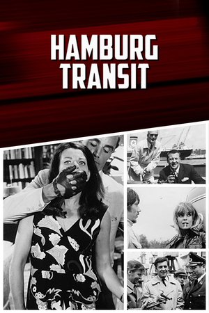 Hamburg Transit poster