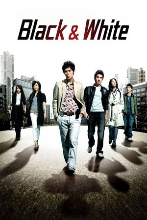 Black & White poster