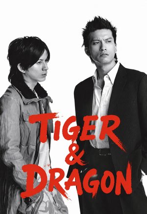 Tiger and Dragon poster