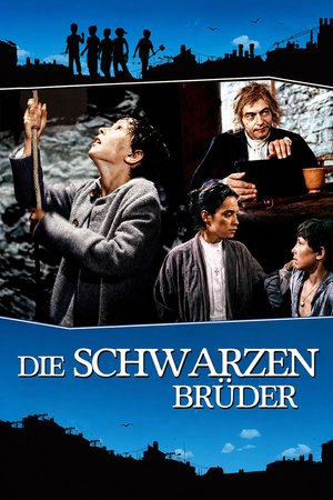 Die schwarzen Brüder poster
