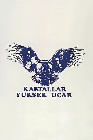 Eagles Fly at High Altitude poster