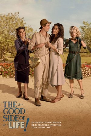 The Good Side of Life poster