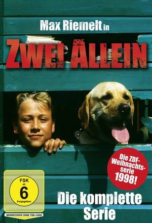 Zwei allein poster