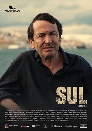 South poster