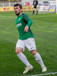 Vladimir Jevtović