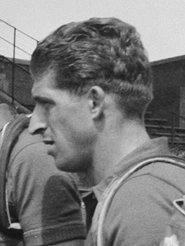 Remo Pisani