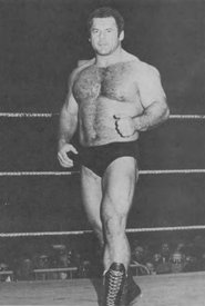 Józef Bednarski
