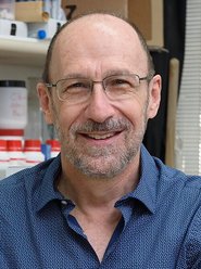 Brian Herskowitz