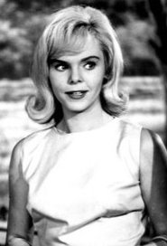 Jenny Maxwell