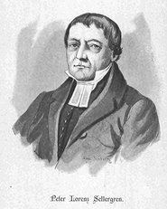 Peter Lorenzelli