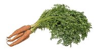 Carrotte