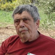 Micha Shagrir