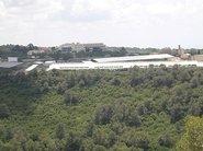 Nirez