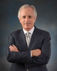 Bob Corso